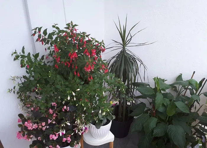 Apartmán Kate Split